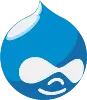 Drupal Developer